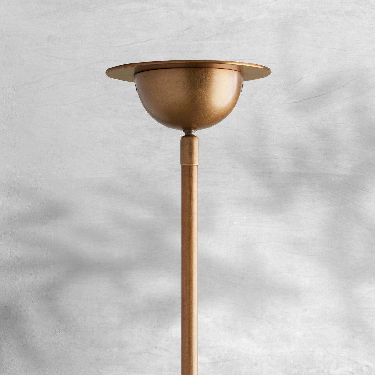 Saguara Chandelier